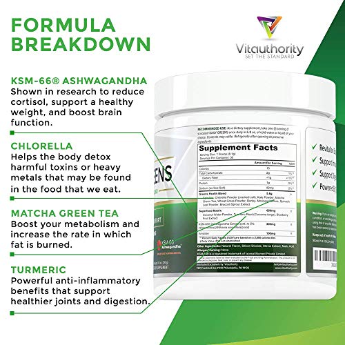 Daily Greens Superfood Powder: Best Tasting Non-GMO Greens Detox Powder with Spirulina, Matcha Green Tea, Barley Grass Juice Powder, Vegan, Orange, 30 SRV