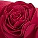 JWH 3D Flower Throw Pillow Cover Decorative Handmade Floral Pillow Case Soft Velvet Pillowcase Lumbar Cushion for Bed Living Room Chair Couch Decor Shams 12x20 Inch Red