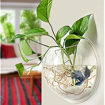 PRUGNA Wall-Hanging Fish Bowl Acrylic Wall-Mounted Plant Pot 1 Gallon Fish Tank 11.5-inches Decoration Planter