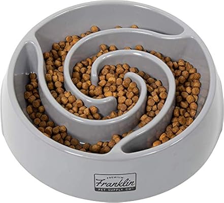 dog bowl food