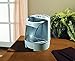 Holmes Warm Mist Filter-Free Humidifier for Small Rooms, HWM6000-NUM