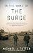 In the Wake of the Surge by Michael J. Totten