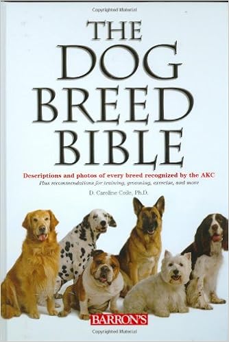 akc designer breeds