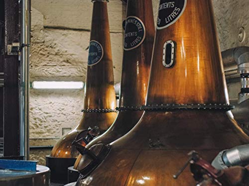 Bushmills Black Bush Irish Whiskey – Bild 6