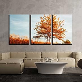 3 Piece Canvas Wall Art - Autumn Landscape - Modern Home Art Stretched and Framed Ready to Hang - 16"x24"x3 Panels