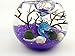 OMEM Aquarium Kits-Living Moss Ball,Valentine Gift Sea Fan, Gravel, Cone Seashell, Work Desk Decoration (Purple)