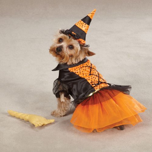 Casual Canine Spellhound Witch Pet Costume - Black