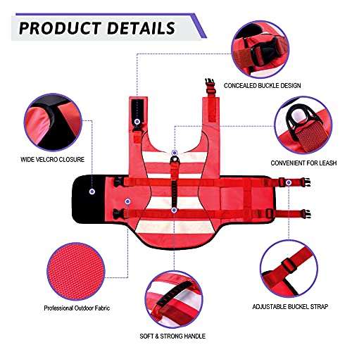 Fragralley Dog Life Jacket Ripstop Dog Life Vests for Swimming, Boating