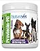NuturaVet Proviacin-PD Probiotics for Dogs for Active Digestive System, Overall Wellness, Stronger Immune System- Yeast Infections– Powder Supplement: 180 Servings 8oz-GMP Approved-Made in USA