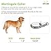 EXPAWLORER Martingale Collars for Dogs, Heavy Duty Nylon Dog Collar Black Large
