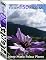 Livro Flores (150 imagens)