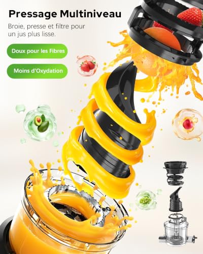 WIE Extracteur de Jus Slow Juicer Goulotte Large 135 mm pour Fruits et Légumes Entiers Moteur 300W Grande Capacité 2.6 L Presse à Froid Silencieuse