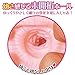 ToysHeart Virgin Age Admission Japanese Masturbator Onahole
