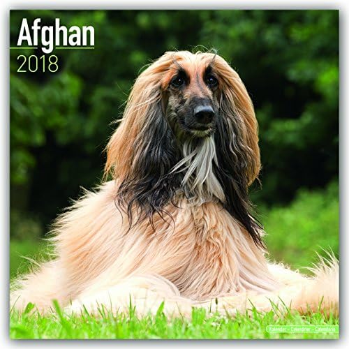Afghan Calendar – 1 July 2017
