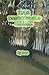 Your Unseen World: Datre Book Four by