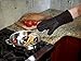 All Clad Silicone Oven Mitt: Heat Resistant up to 500 Degrees - 100% Cotton & Silicone, 14