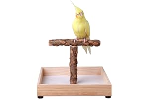 KINTOR Bird Stand Tabletop,Portable Tee Stand, Parrot Play Stand Perch Gym for Small Medium Parrot (T Stand)
