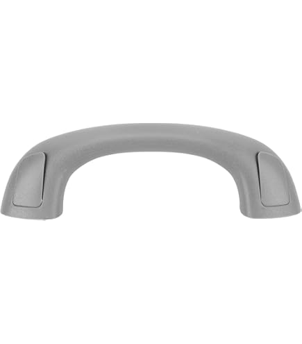Amazon.com: Toyota 74610-0C082-B0 Assist Grip Assembly