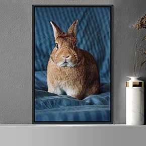 signwin Framed Canvas Wall Art Bunny Animals Bedroom...