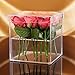 Choice Fun Acrylic Flower Box Clear Water Holder Vase Wedding Flower Holder Decorative