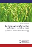 Image de Optimizing transformation techniques  in indica rices: Agrobacterium mediated transformation in indica rices