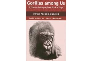 Gorillas among Us