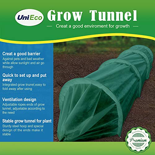 Best Mini Garden Bed