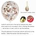 Rose Gold & Blush Pink & Confetti Latex Party Balloons – Pack of 45 , 12 Inch , Decoration Supplies for Wedding , Graduation , Birthday Party , Hawaii