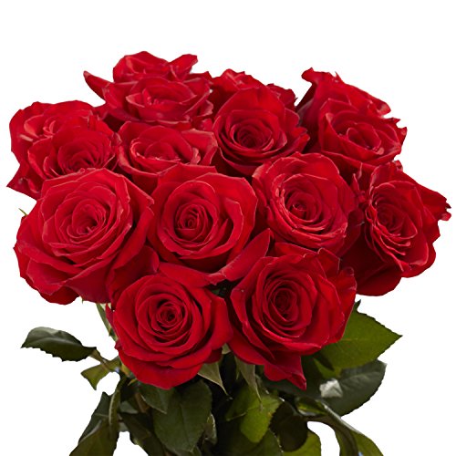 GlobalRose 50 Red Roses Beautiful Fresh Flowers Next Day Delivery by