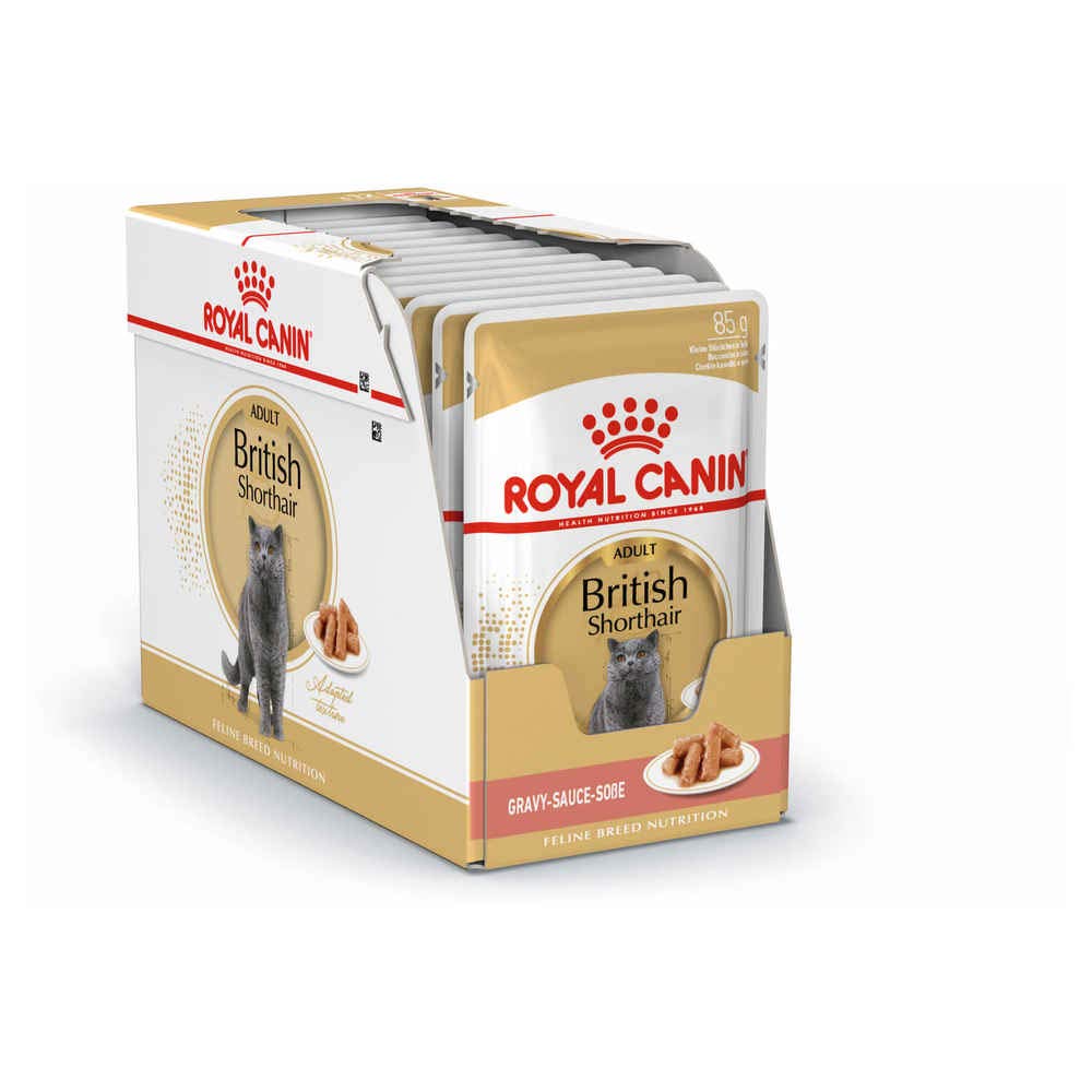ROYAL CANIN 9003579001240 British Shorthair Cat Food, 85 g Amazon.co.uk Pet Supplies