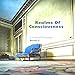 Realms of Consciousness: Levels of Energy, Book 3 by