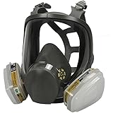 Holulo Full Face Facepiece Respirator Paint Spray Mask with 2 x Organic Vapor Cartridges