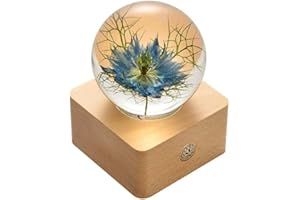 MISS LI GARDEN Forever Flowers Nigella Sativa (Black Cumin) in 3D Crystal Ball with LED Lights,Elegant Present for Girlfriend Wife Mom Women Enchanted Birthday Anniversary Wedding Home Décor