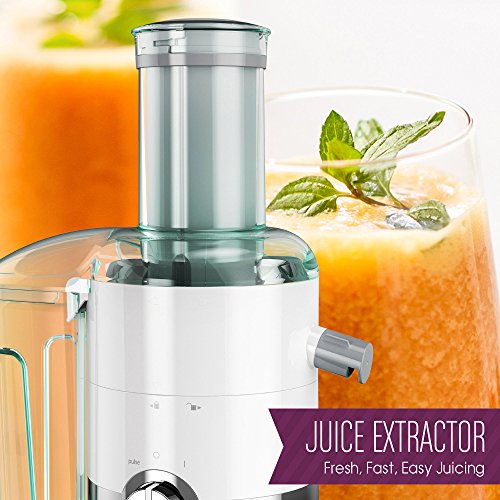 Juiceman JCJ450 Citrus Juicer The Home Kitchen Store
