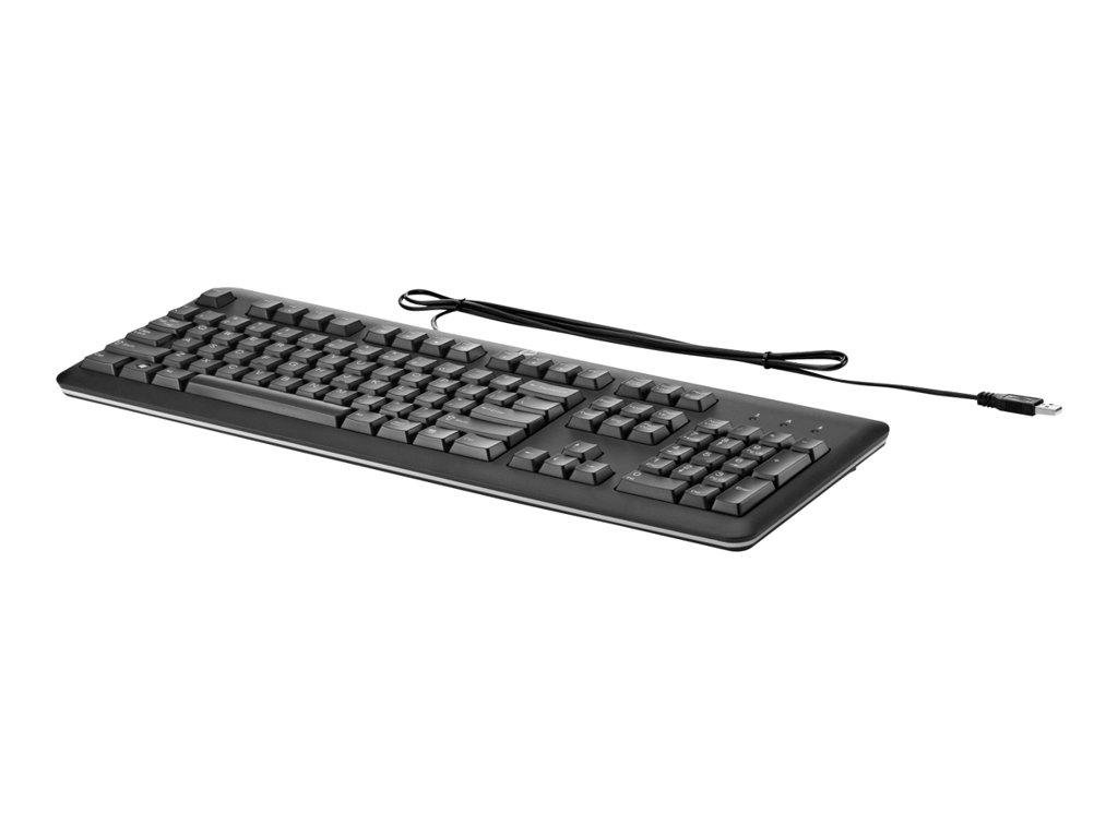 HP QY776AA USB Standard Keyboard PC/Mac, Keyboard