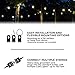 Enbrighten Classic Warm White String Lights, 24ft Black Cord, 12 Shatterproof Acrylic Bulbs, Weatherproof, Outdoor String Lights, 31662