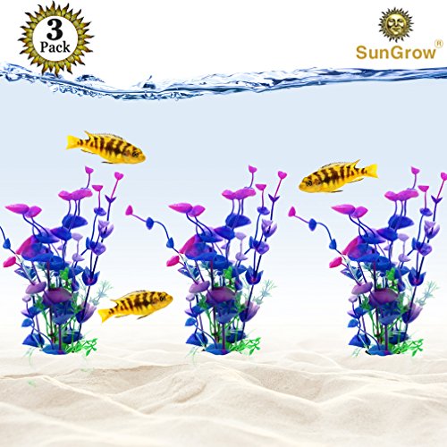 The 10 best guppies plants Allace Reviews