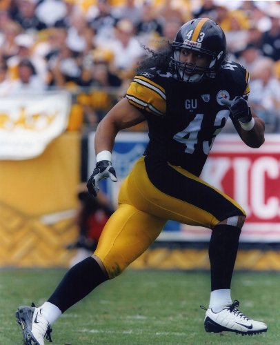 TROY POLAMALU PITTSBURGH STEELERS 8X10 SPORTS ACTION PHOTO (G)