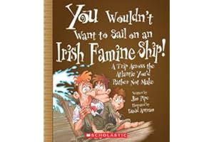 You Wouldn't Want to Sail on an Irish Famineship
