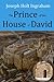 The Prince of the House of David by 