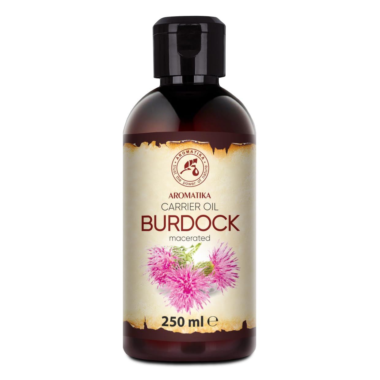 Burdock Oil 250ml - Arctium Lappa Root Extract - 100% Pure & Natural - Natural Hair Oil - Great Benefits for Skin - Hair - Face - Body Care - Glass Bottle - Oils Burdock Seed