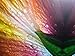5x7 Canvas Textured Premium Inkjet Photo Paper 11 mil 50 Sheets
