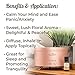 Plant Therapy Worry Free Essential Oil Blend Pre-Diluted Roll-On 10 mL (1/3 oz) 100% Pure, Natural Aromatherapy