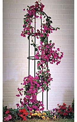 Rankhilfe Rosenbogen Obelisk Rosensaule Garten Deko Fur Rankpflanzen Rosengewachse Mass 190cm 160cm X 40cm Farbe Dunkelgrun Oliv Rankgitter Iapyx Amazon De Garten