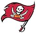 NFL Siskiyou Sports Fan Shop Tampa Bay Buccaneers Logo Magnets 8 inch sheet Team Color