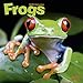 Frog Calendar - Cute Animal Calendar - Calendars 2019 - 2020 Wall Calendars - Animal Calendar - Frog by 