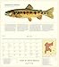 Trout of North America Wall Calendar 2020