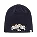 NFL Denver Broncos 2015 Super Bowl 50 Champions '47 Beanie Knit, Navy, One Size,Navy