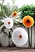 6-Piece Sunflower and Daisy Flower Theme Decorations Tissue Paper Fan Party Supplies Perfect for Classroom Baby Shower Wedding Birthday Backdrop Garland (Two 24 inch, Two 16 inch, Two 9.5 inch.)