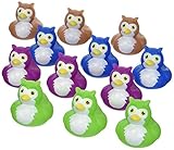 Owl Rubber Duckys - 12 pc